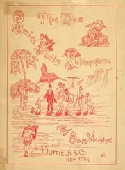 The new Swiss family Robinson: a tale for children of all ages