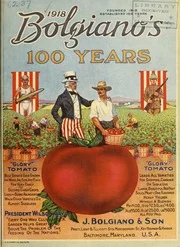Bolgiano's 100 years "glory" tomato